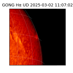 gong - 2025-03-02T11:07:02