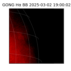 gong - 2025-03-02T19:00:02
