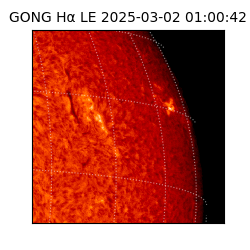 gong - 2025-03-02T01:00:42