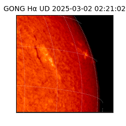 gong - 2025-03-02T02:21:02