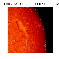 gong - 2025-03-02T03:00:02