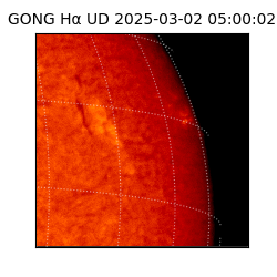 gong - 2025-03-02T05:00:02