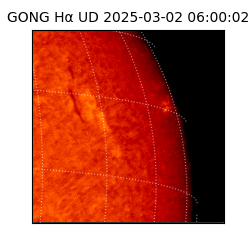 gong - 2025-03-02T06:00:02