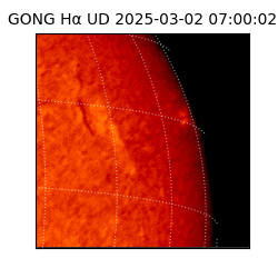 gong - 2025-03-02T07:00:02