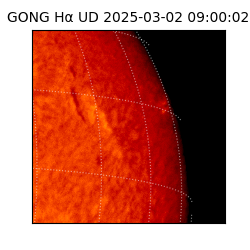 gong - 2025-03-02T09:00:02