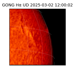 gong - 2025-03-02T12:00:02