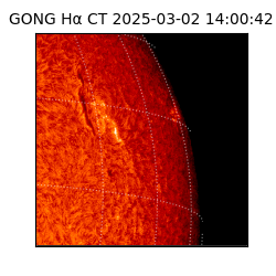 gong - 2025-03-02T14:00:42