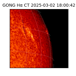 gong - 2025-03-02T18:00:42
