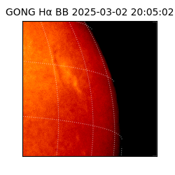 gong - 2025-03-02T20:05:02
