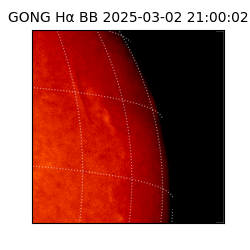 gong - 2025-03-02T21:00:02