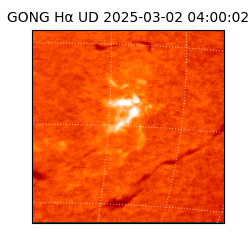 gong - 2025-03-02T04:00:02