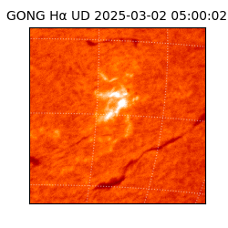 gong - 2025-03-02T05:00:02