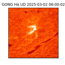 gong - 2025-03-02T06:00:02