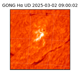 gong - 2025-03-02T09:00:02