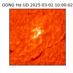 gong - 2025-03-02T10:00:02