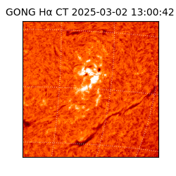 gong - 2025-03-02T13:00:42