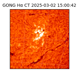 gong - 2025-03-02T15:00:42