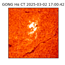 gong - 2025-03-02T17:00:42