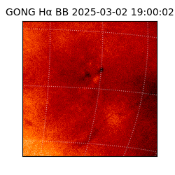 gong - 2025-03-02T19:00:02