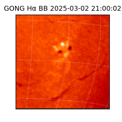 gong - 2025-03-02T21:00:02