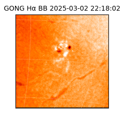 gong - 2025-03-02T22:18:02