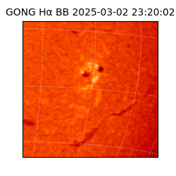 gong - 2025-03-02T23:20:02