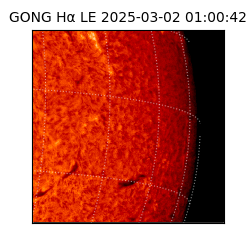 gong - 2025-03-02T01:00:42