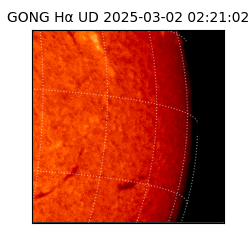 gong - 2025-03-02T02:21:02
