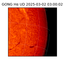 gong - 2025-03-02T03:00:02