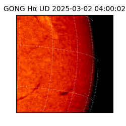 gong - 2025-03-02T04:00:02