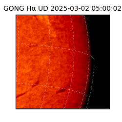 gong - 2025-03-02T05:00:02