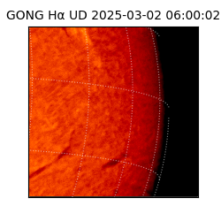 gong - 2025-03-02T06:00:02