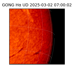 gong - 2025-03-02T07:00:02