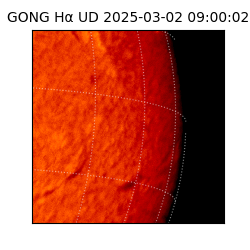 gong - 2025-03-02T09:00:02