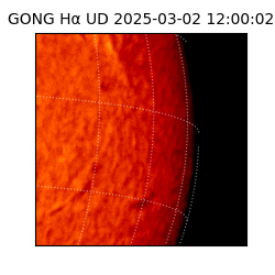 gong - 2025-03-02T12:00:02