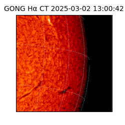 gong - 2025-03-02T13:00:42