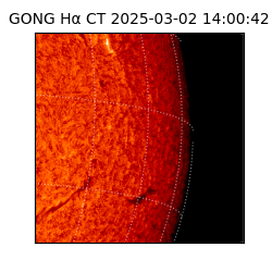 gong - 2025-03-02T14:00:42