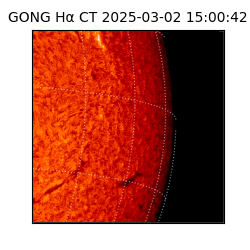 gong - 2025-03-02T15:00:42