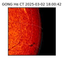 gong - 2025-03-02T18:00:42