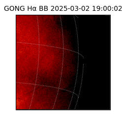 gong - 2025-03-02T19:00:02