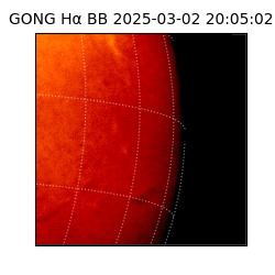 gong - 2025-03-02T20:05:02
