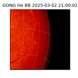 gong - 2025-03-02T21:00:02