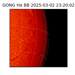 gong - 2025-03-02T23:20:02
