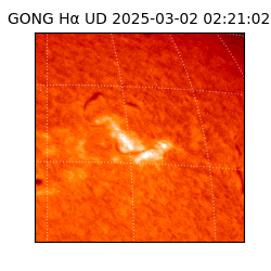 gong - 2025-03-02T02:21:02