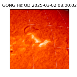 gong - 2025-03-02T08:00:02