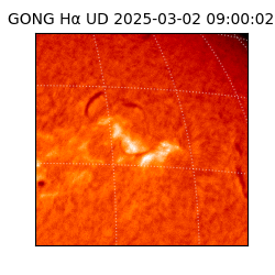 gong - 2025-03-02T09:00:02