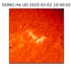 gong - 2025-03-02T10:00:02