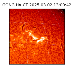 gong - 2025-03-02T13:00:42