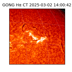 gong - 2025-03-02T14:00:42