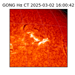 gong - 2025-03-02T16:00:42